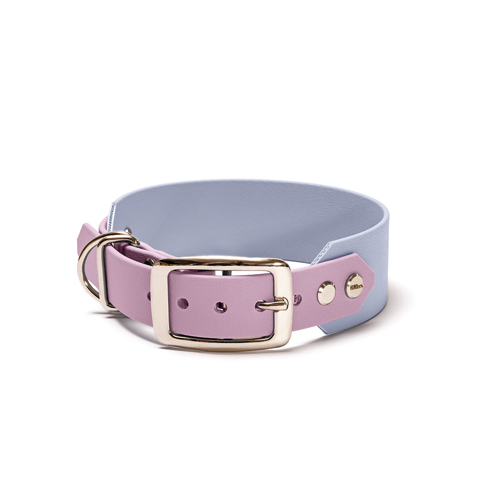 „BioThane Hundehalsband Lavendeltraum – Flieder & Polar mit Beschlägen in Silber