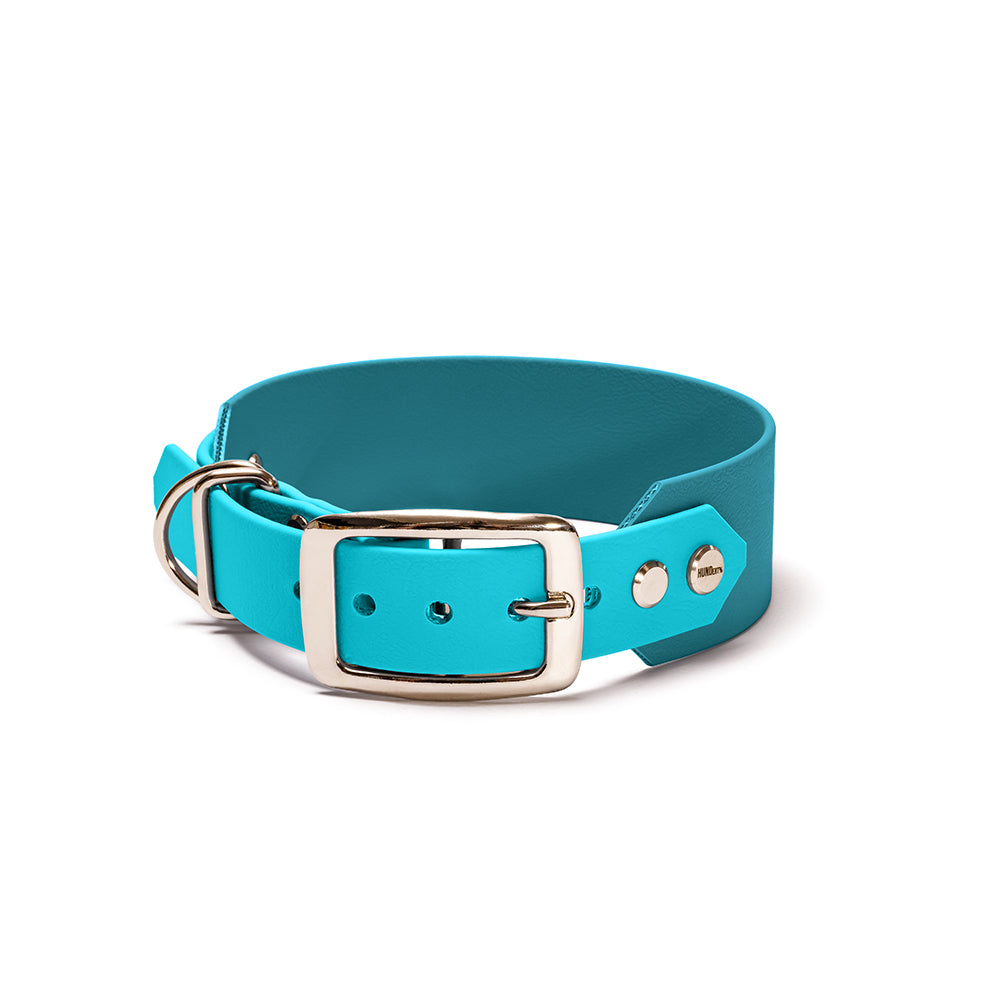 BioThane Hundehalsband Meeresbrise – Lagune & Skyan Blau mit Beschlägen in Silber 