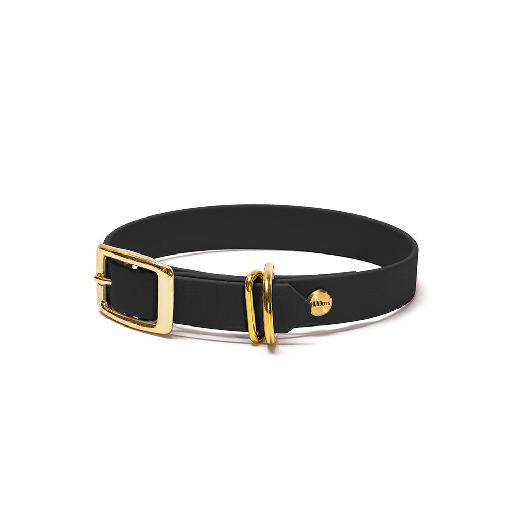Hundehalsband aus BioThane in Schwarz – Modell Nachtschwarz, 16mm & 19mm mit Beschlägen in Gold