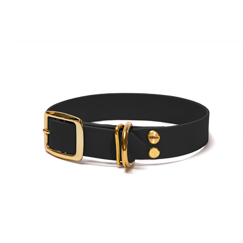 BioThane Hundehalsband Nachtschwarz – Schwarz mit Beschlägen in Gold