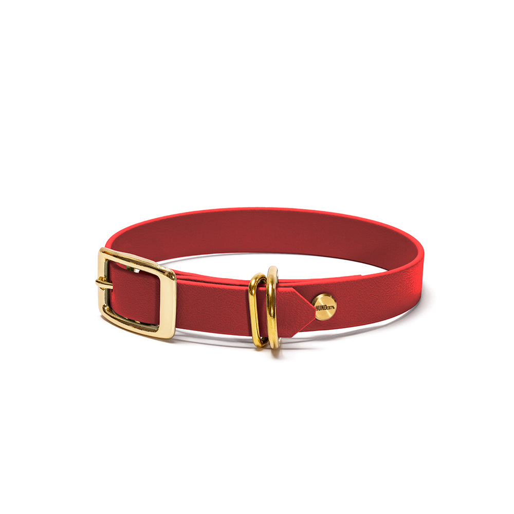 Hundehalsband aus BioThane in Rot – Modell Rubinrot, 16mm & 19mm mit Beschlägen in Gold