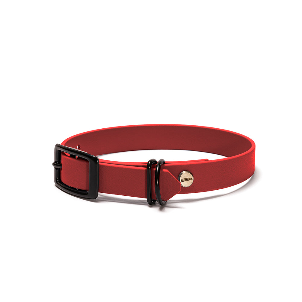 Hundehalsband aus BioThane in Rot – Modell Rubinrot, 16mm & 19mm mit Beschlägen in Schwarz