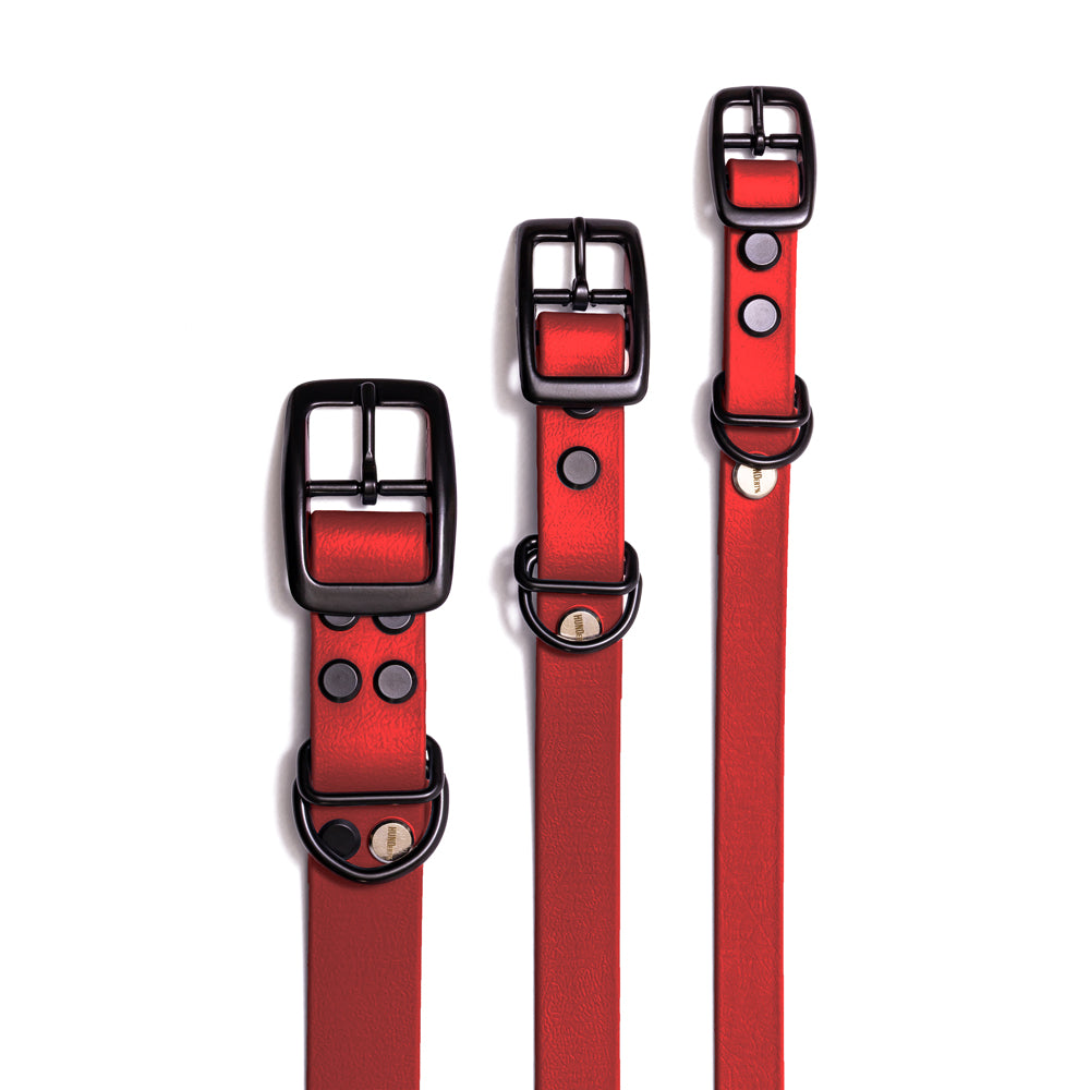 Hundehalsband BioThane Rubinrot – erhältlich in 25mm, 19mm und 16mm Breite