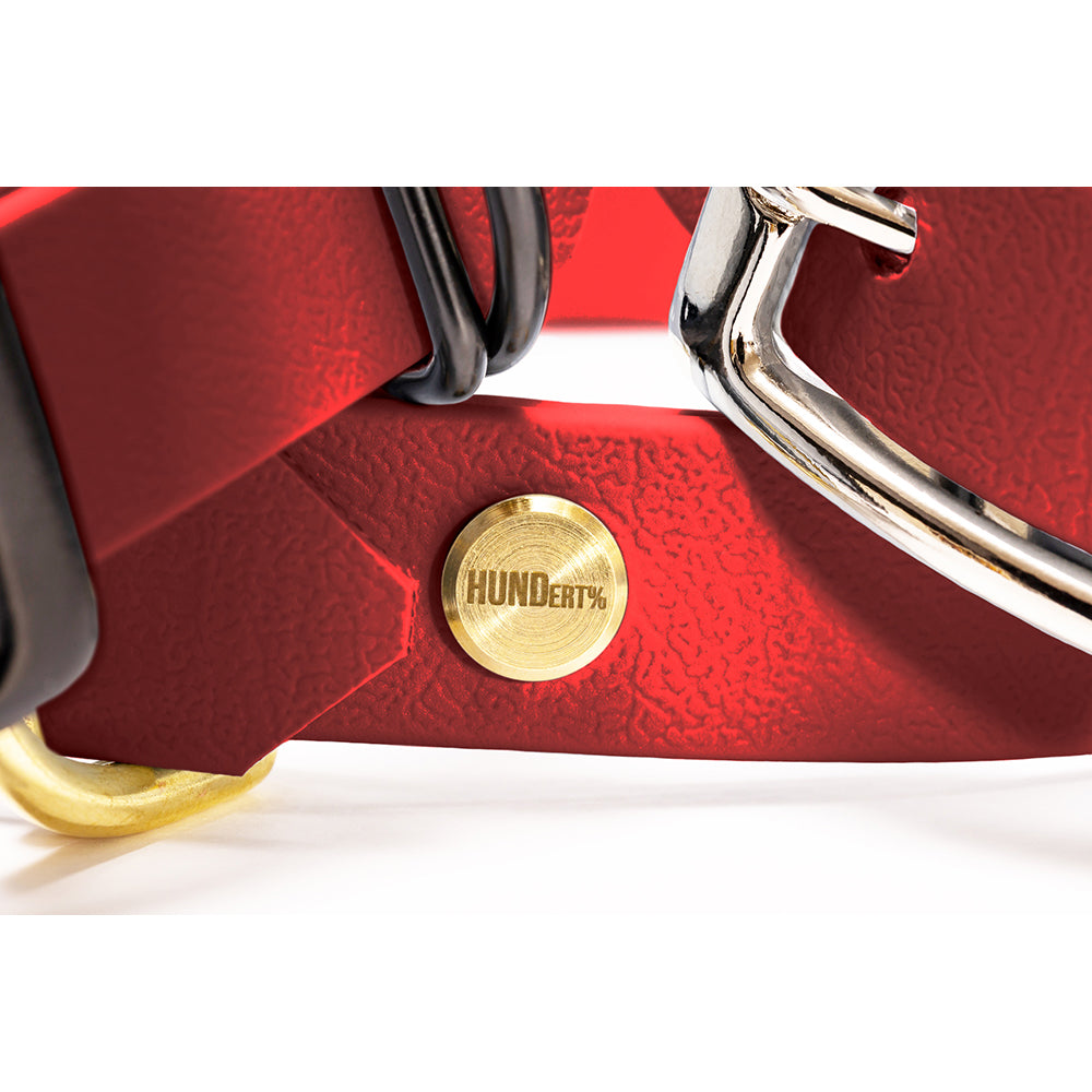 Hundehalsband aus BioThane in Rot – Modell Rubinrot, robust und wasserfest, detail