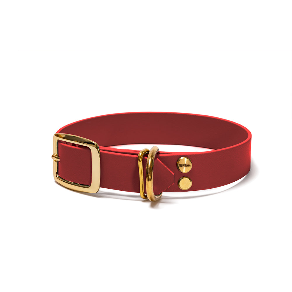 BioThane Hundehalsband Rubinrot – Rot mit Beschlägen in Gold