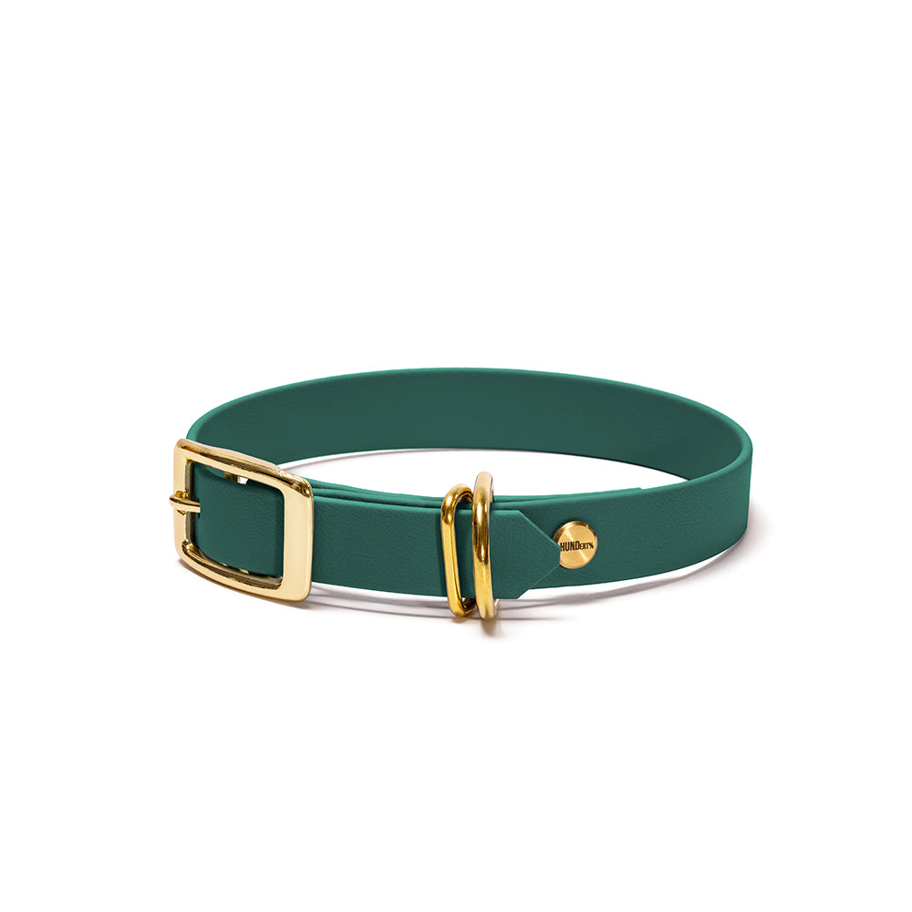 Hundehalsband aus BioThane in Dunkelgrün – Modell Tannenzauber, 16mm & 19mm mit Beschlägen in Gold