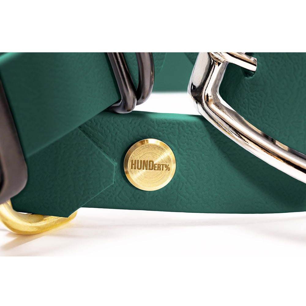 Hundehalsband aus BioThane in Dunkelgrün – Modell Tannenzauber, robust und wasserfest, detail