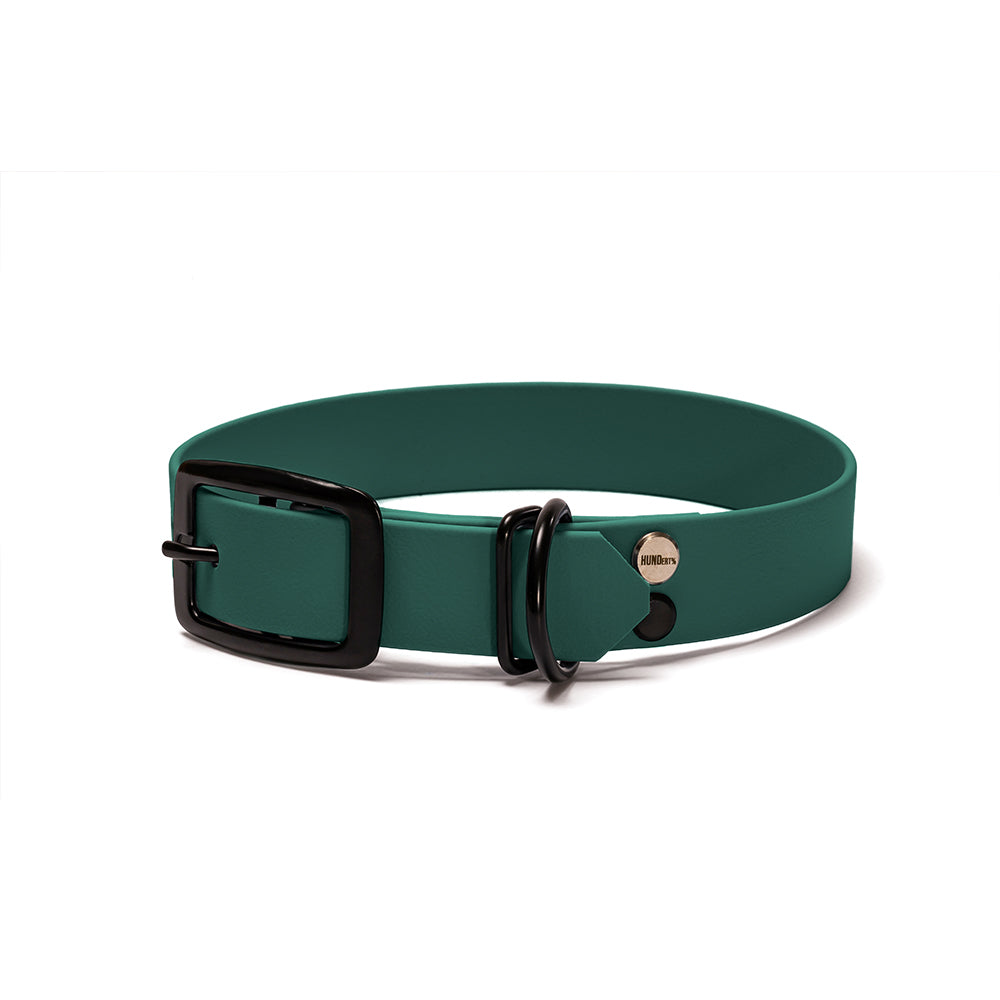 BioThane Hundehalsband Tannenzauber – Dunkelgrün mit Beschlägen in Schwarz