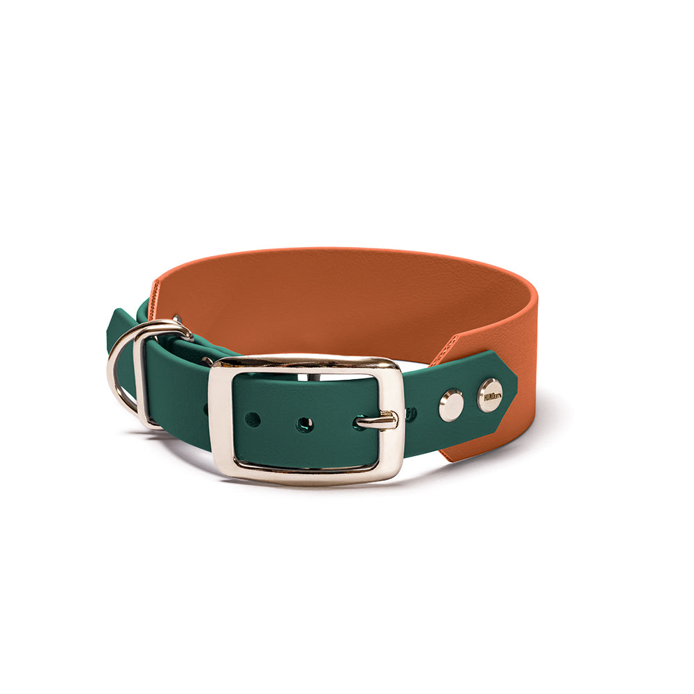 BioThane Hundehalsband Wald & Erde – Dunkelgrün & Braun mit Beschlägen in Silber