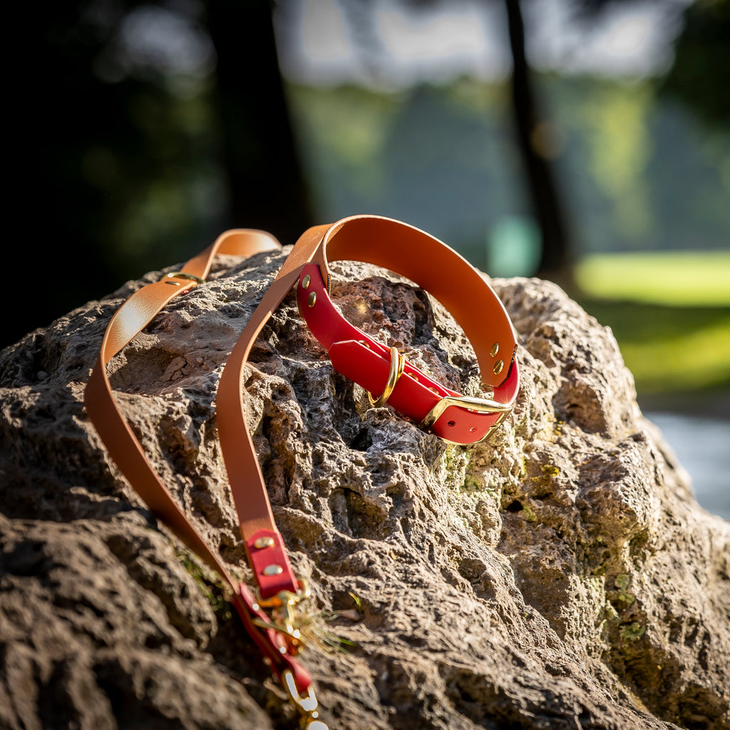 Rotes BioThane® Hundezubehör-Set von HUNDert % – robustes Halsband und Leine, wasserfest und pflegeleicht für aktive Hunde