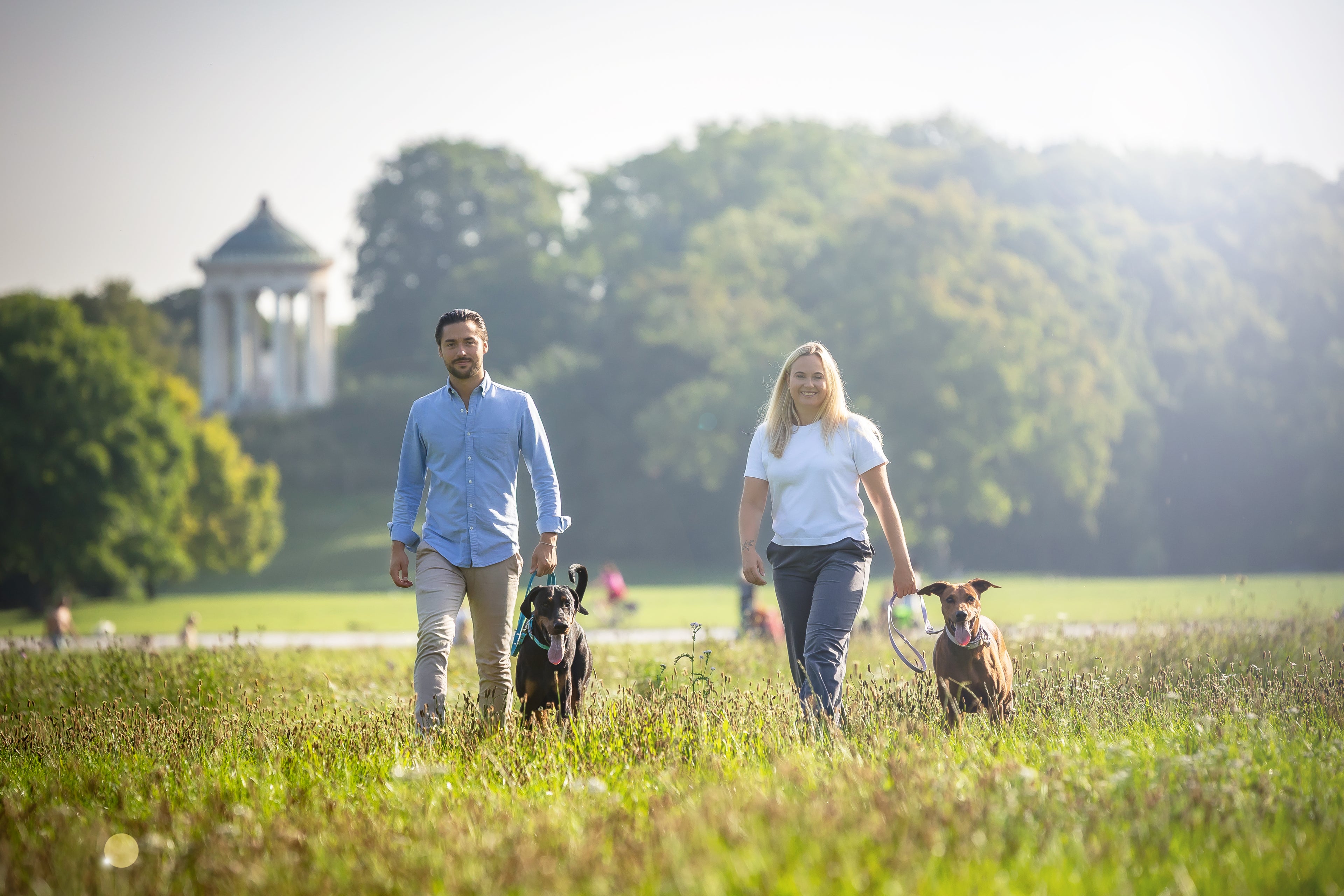 Hundespaziergang im Park mit HUNDert Prozent Leinen und Halsbändern – robustes Hundezubehör für aktive Hunde.