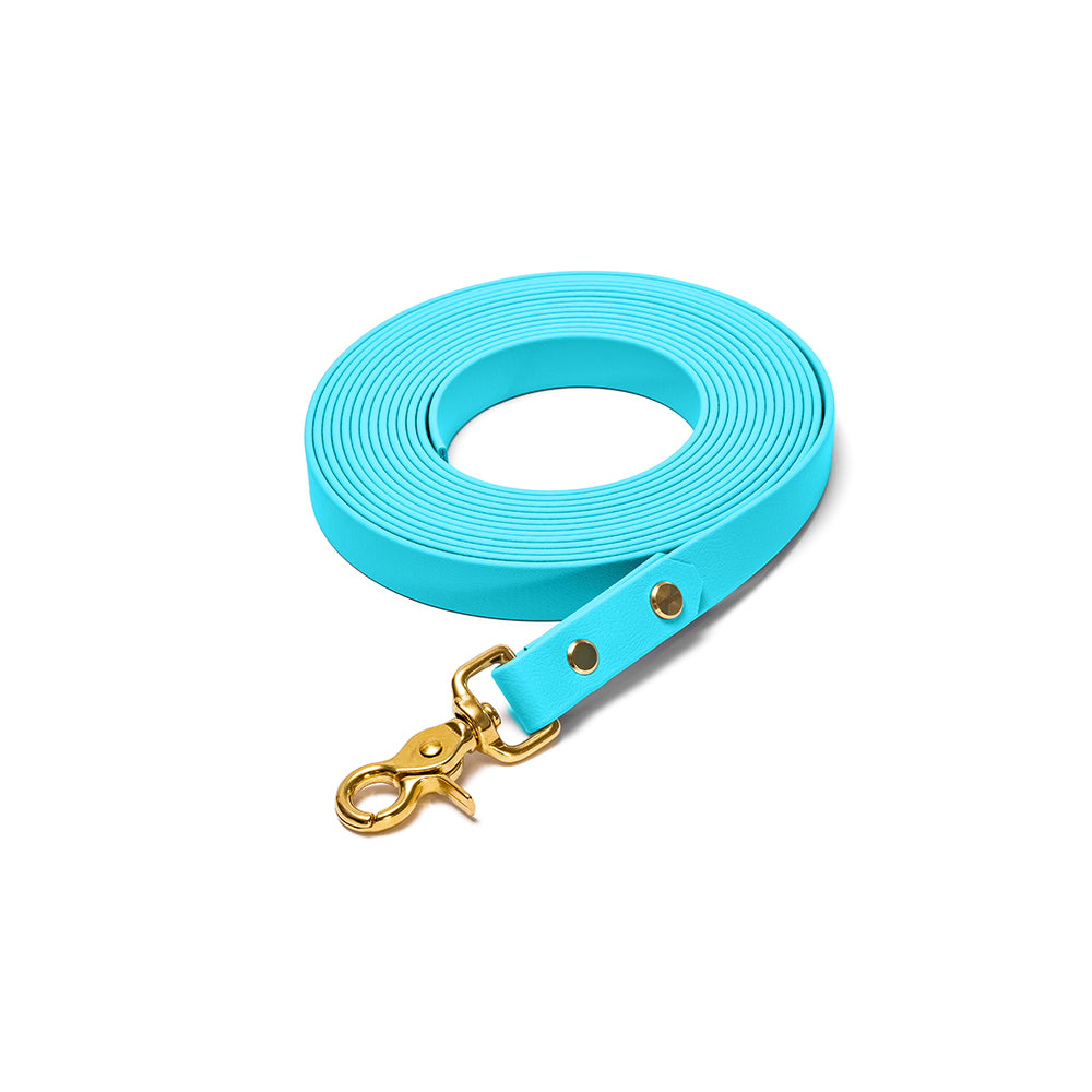 Schleppleine aus BioThane in Hellblau – Modell Himmel, robust und wasserfest, gold