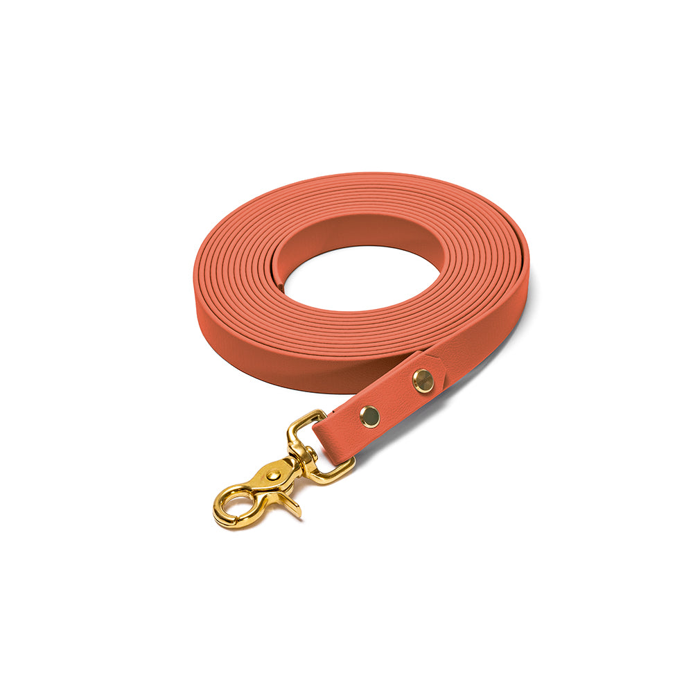 Schleppleine aus BioThane in Karamellbraun – Modell Karamell, robust und wasserfest, gold
