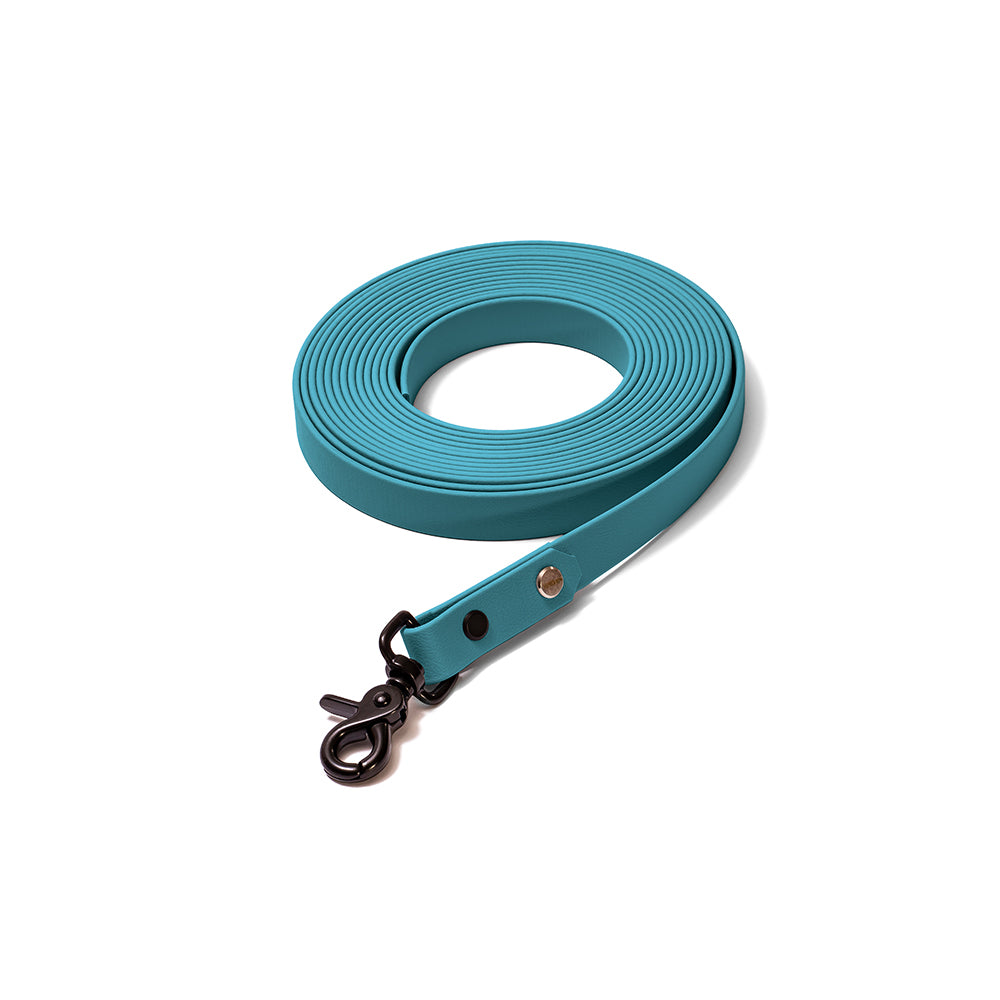 Schleppleine aus BioThane in Türkis – Modell Lagune, robust und wasserfest, schwarz