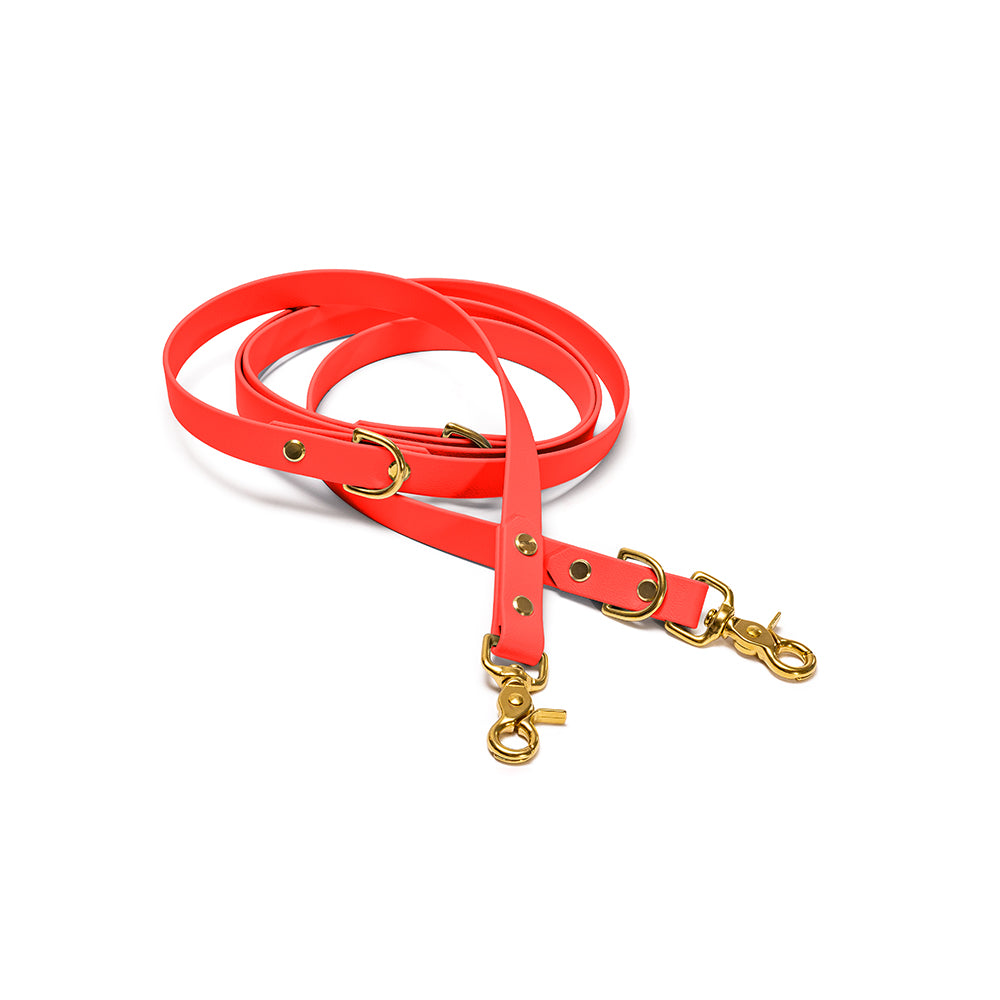 Verstellbare Hundeleine aus BioThane in Orange – Modell Feuerfunke, robust und wasserfest - gold