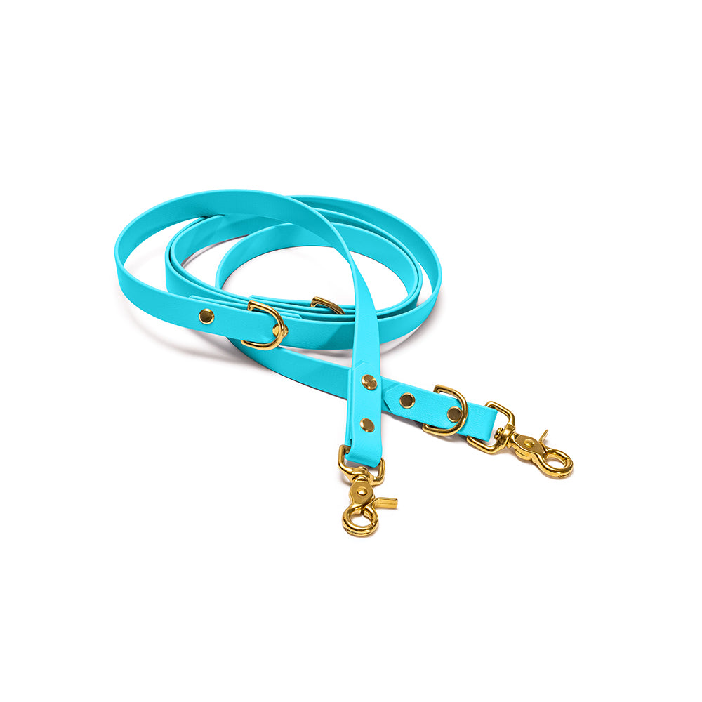 Verstellbare Hundeleine aus BioThane in Hellblau – Modell Himmel, robust und wasserfest, gold