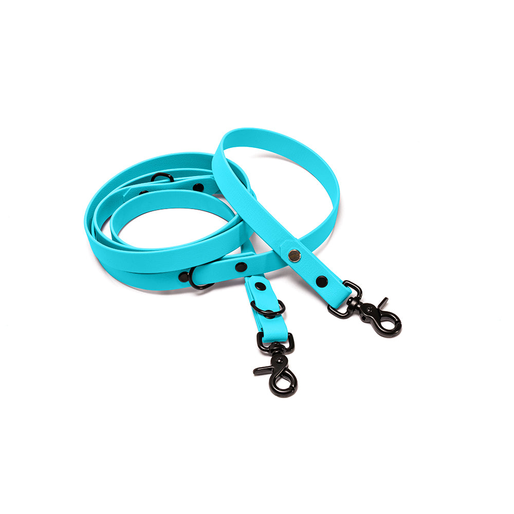 Verstellbare Hundeleine aus BioThane in Hellblau – Modell Himmel, robust und wasserfest, schwarz