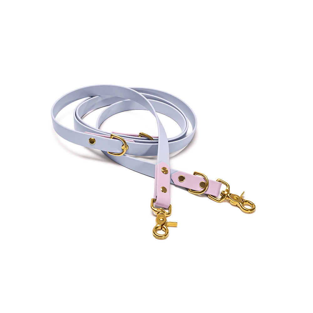 Verstellbare Hundeleine BioThane Lavendeltraum – Flieder & Polar mit Beschlägen in Gold