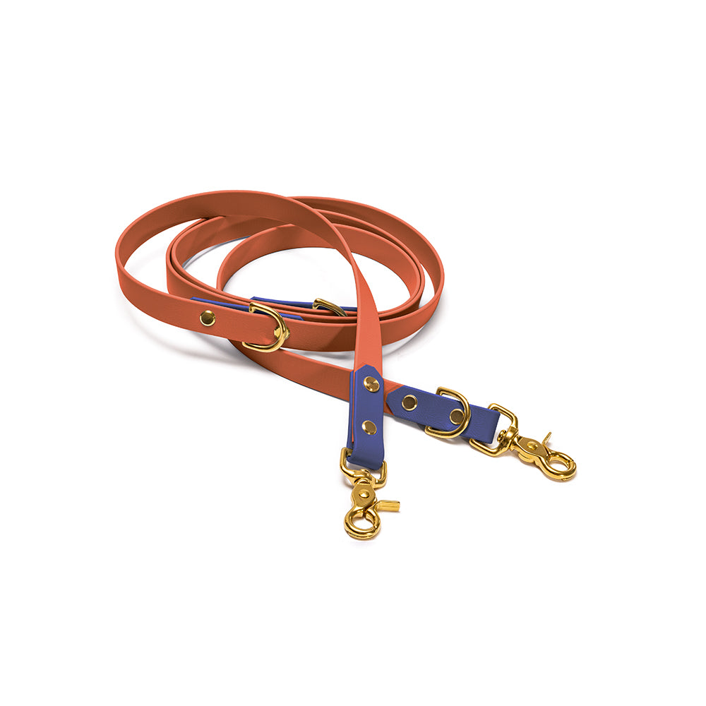 Verstellbare Hundeleine BioThane Meer & Erde – Kehlblau & Braun mit Beschlägen in Gold