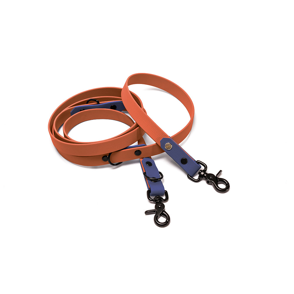Verstellbare Hundeleine BioThane Meer & Erde – Kehlblau & Braun mit Beschlägen in Schwarz