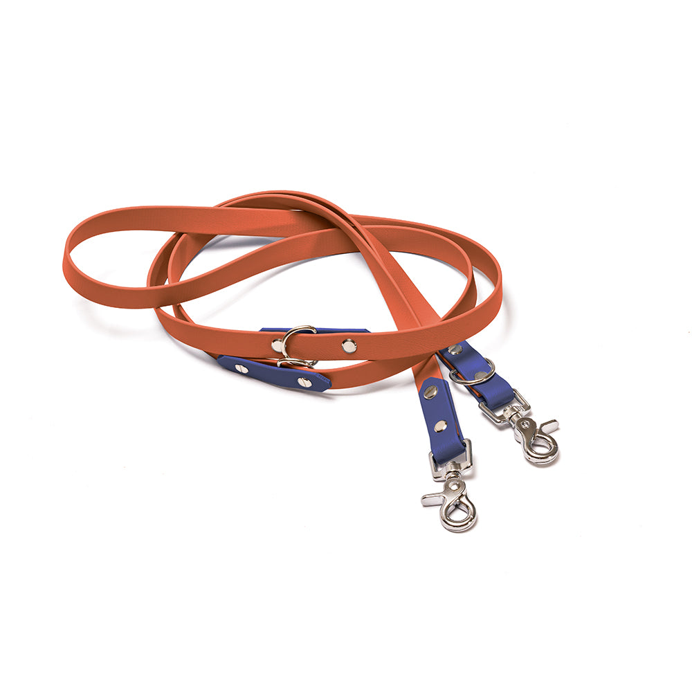 Verstellbare Hundeleine BioThane Meer & Erde – Kehlblau & Braun mit Beschlägen in Silber