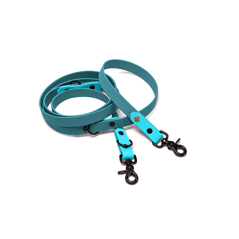 Verstellbare Hundeleine BioThane Meeresbrise – Lagune & Skyan Blau mit Beschlägen in Schwarz